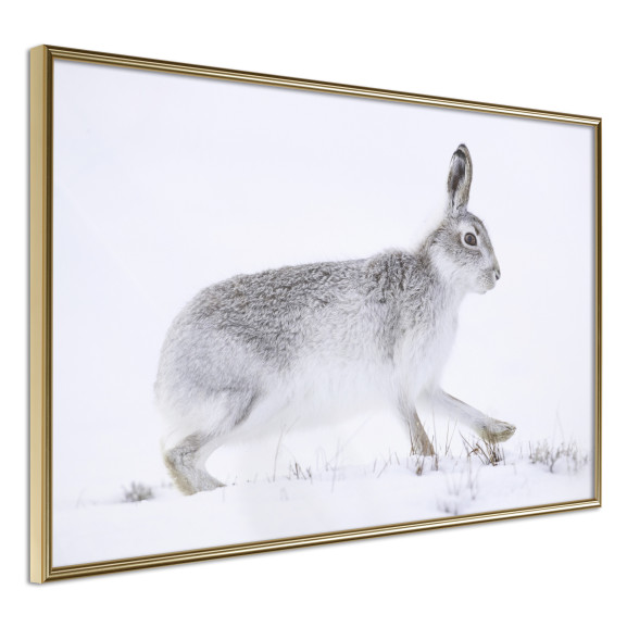 Poster Escape in the Snow