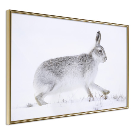 Poster Escape in the Snow-01