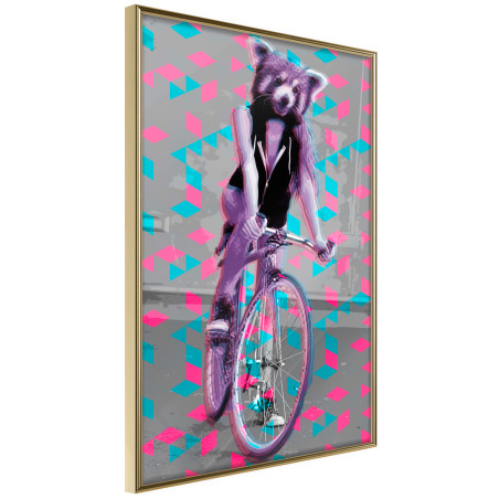 Poster Extraordinary Cyclist-01