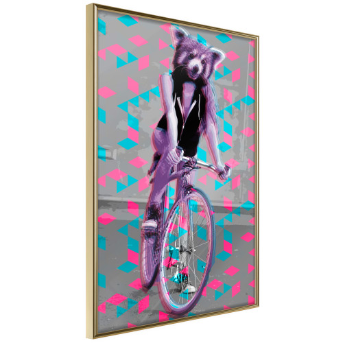 Poster Extraordinary Cyclist