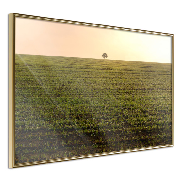 Poster Farmland