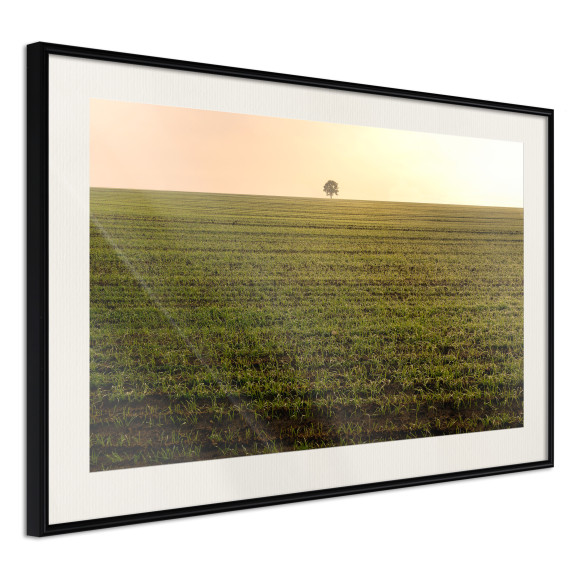 Poster Farmland