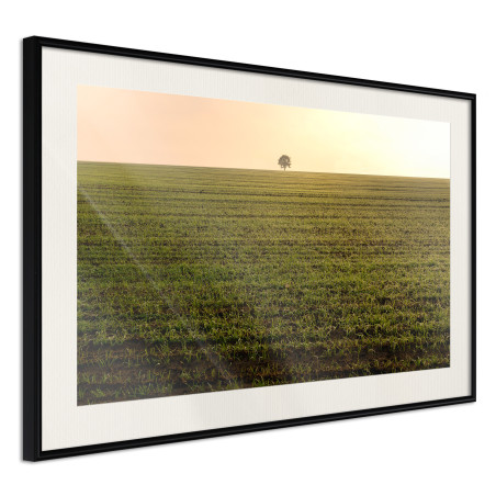 Poster Farmland-01
