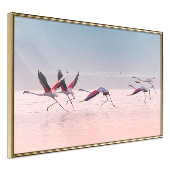 Poster Flamingos Breaking into a Flight