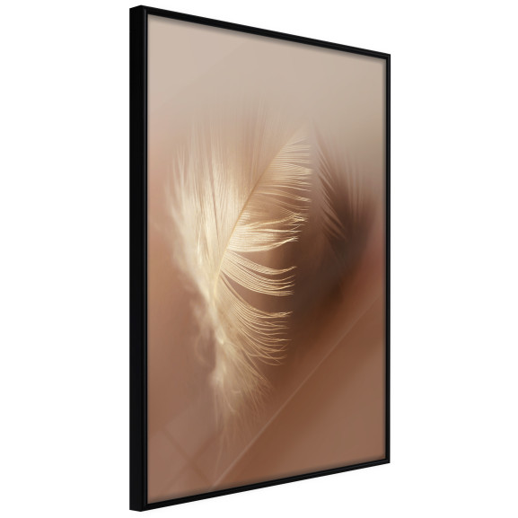 Poster Fleeting Delicacy