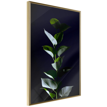 Poster Floral Elegance-01