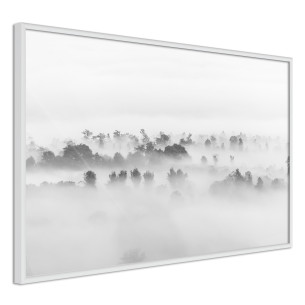 Poster Fog Over the Forest