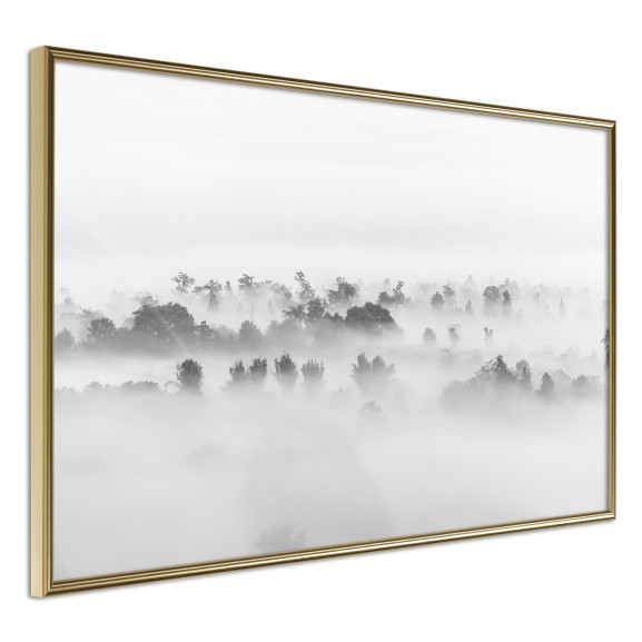 Poster Fog Over the Forest