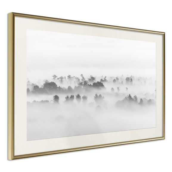 Poster Fog Over the Forest