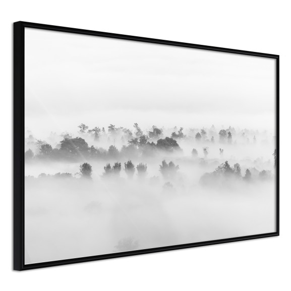 Poster Fog Over the Forest