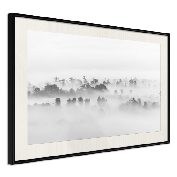 Poster Fog Over the Forest
