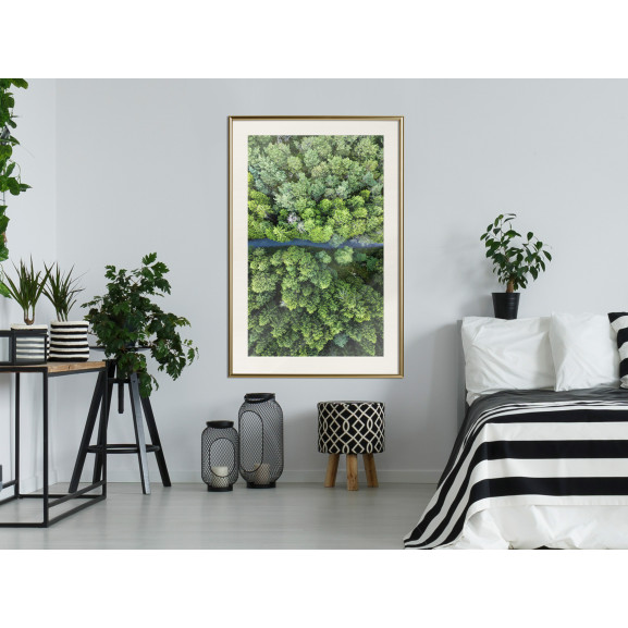Poster Forest from a Bird's Eye View