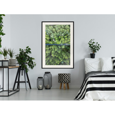 Poster Forest from a Bird's Eye View-01