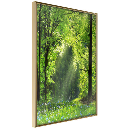 Poster Forest Path-01