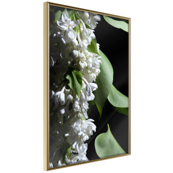 Poster Fragrant Spring