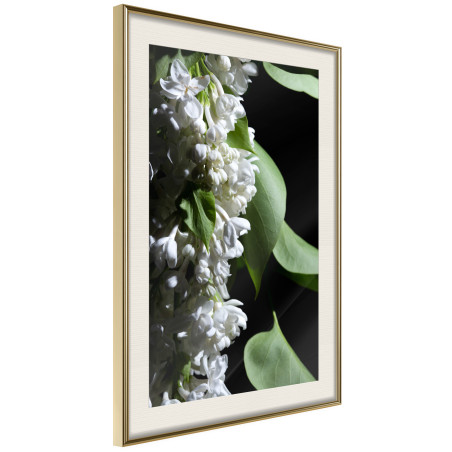 Poster Fragrant Spring-01