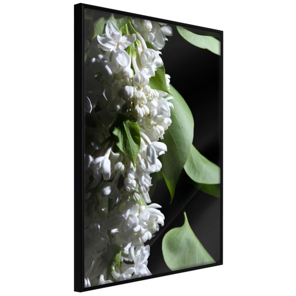 Poster Fragrant Spring