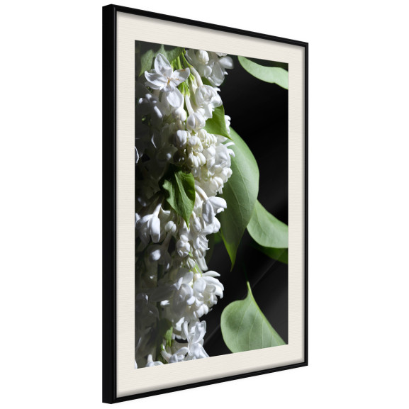Poster Fragrant Spring