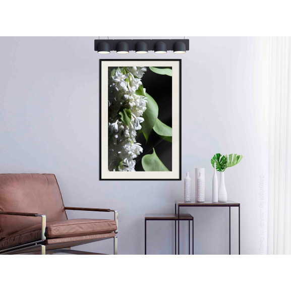 Poster Fragrant Spring