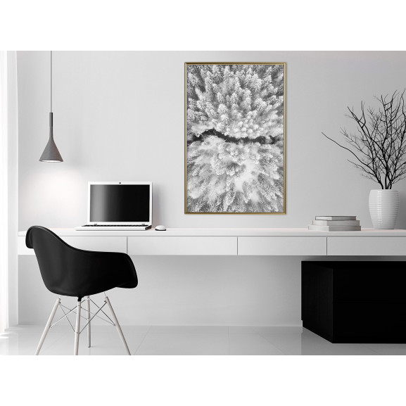 Poster Frost Land