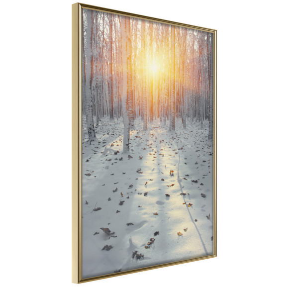 Poster Frosty Sunset