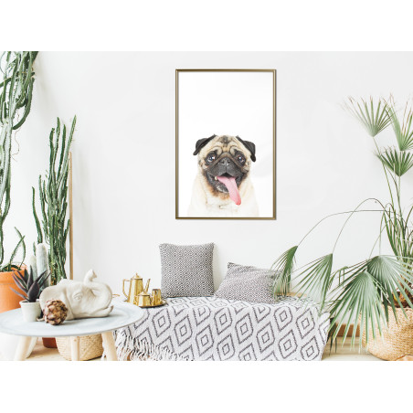 Poster Funny Pug-01