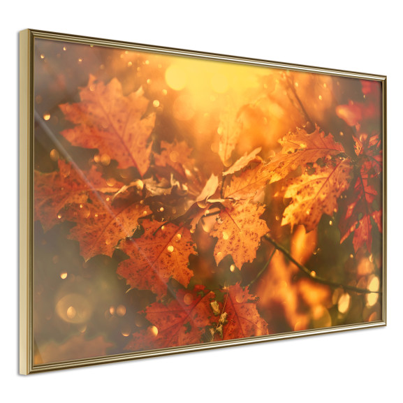 Poster Golden Autumn