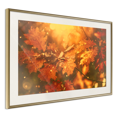 Poster Golden Autumn-01
