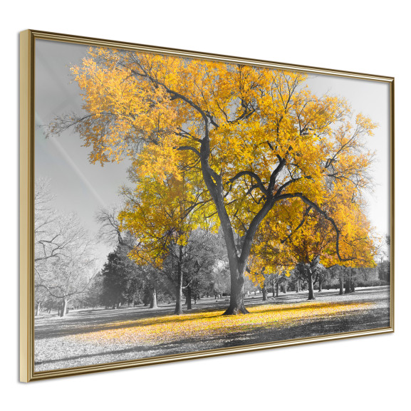 Poster Golden Tree