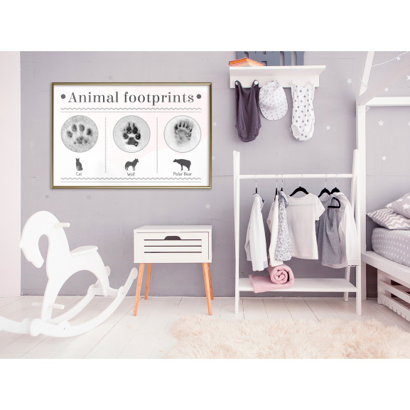 Poster How to Recognize an Animal