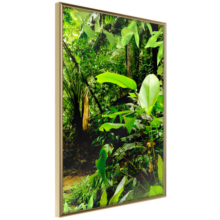 Poster In the Rainforest-01
