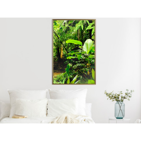 Poster In the Rainforest
