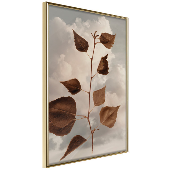 Poster Leaves in the Clouds