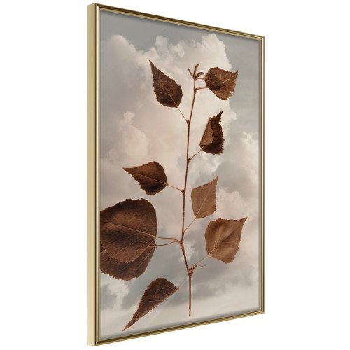 Poster Leaves in the Clouds