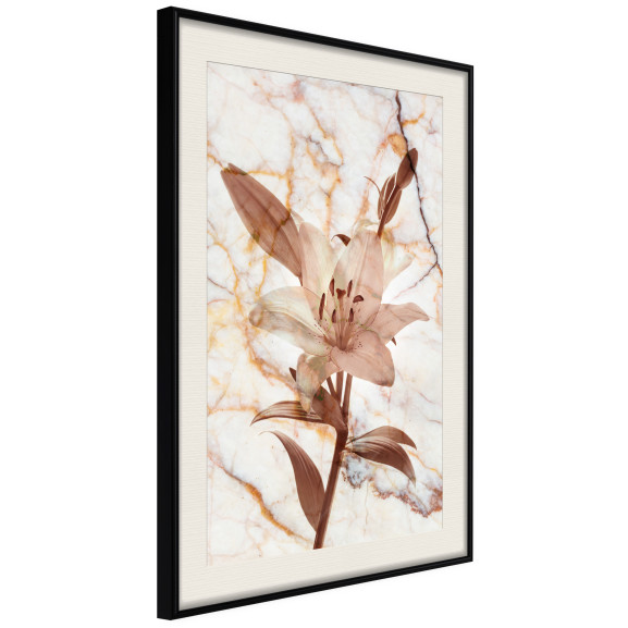 Poster Lily on Marble Background