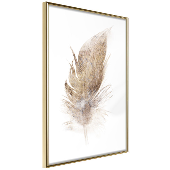 Poster Lost Feather (Beige)