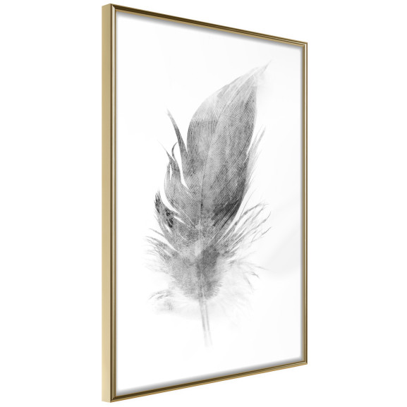 Poster Lost Feather (Grey)