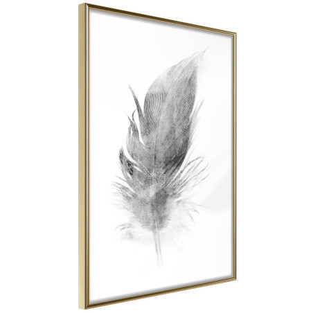Poster Lost Feather (Grey)-01