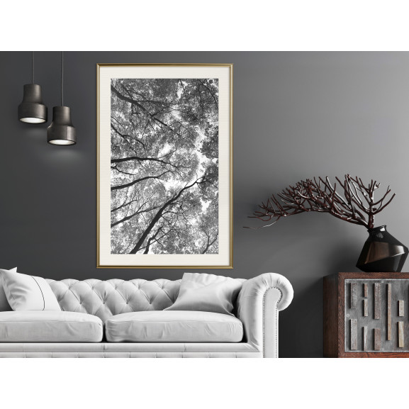 Poster Lying on the Grass