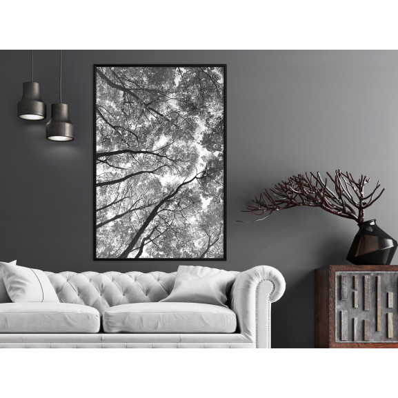 Poster Lying on the Grass