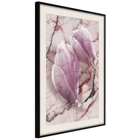 Poster Magnolia on Marble Background-01