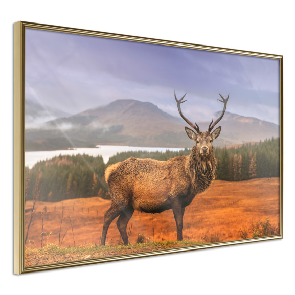 Poster Majestic Deer