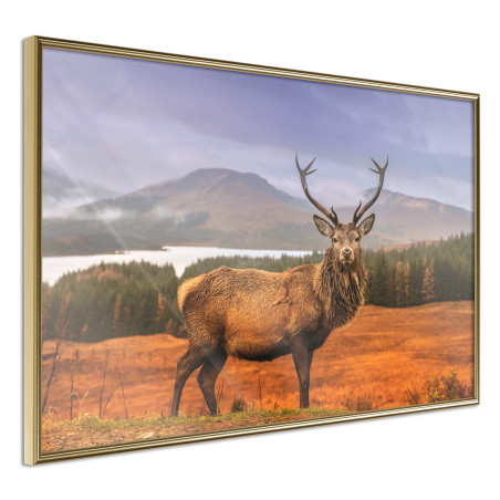 Poster Majestic Deer-01