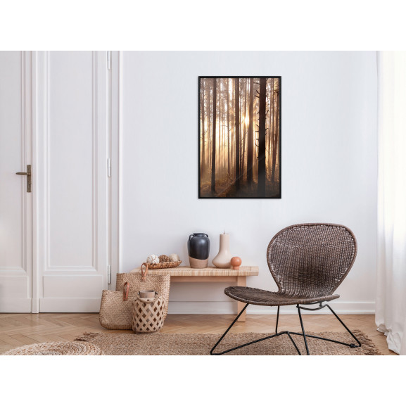 Poster Morning in the Forest