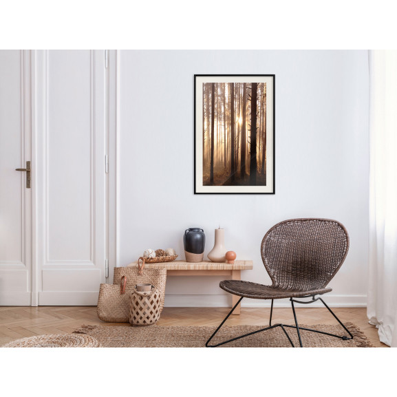 Poster Morning in the Forest