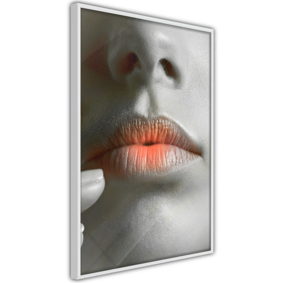 Poster Ombre Lips