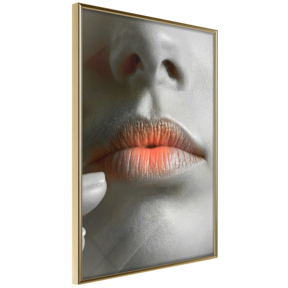 Poster Ombre Lips