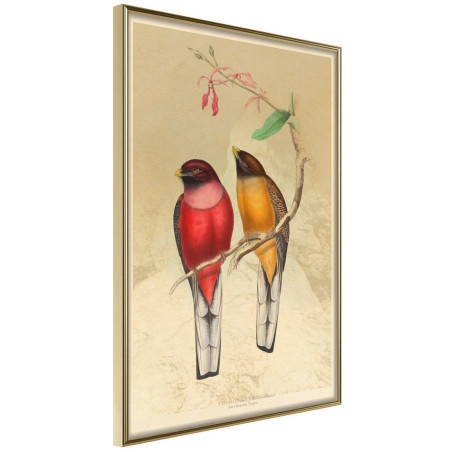 Poster Ornithologist's Drawings-01