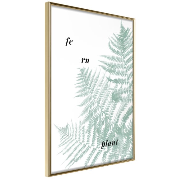 Poster Pale Green Fern