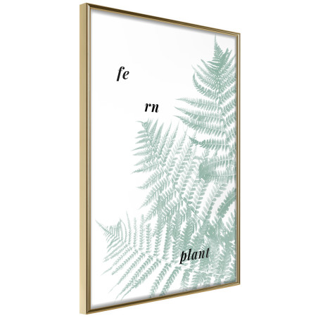 Poster Pale Green Fern-01